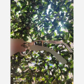 عینک آفتابی بچگانه وارداتی UV400 مناسب 4 تا 8 سال