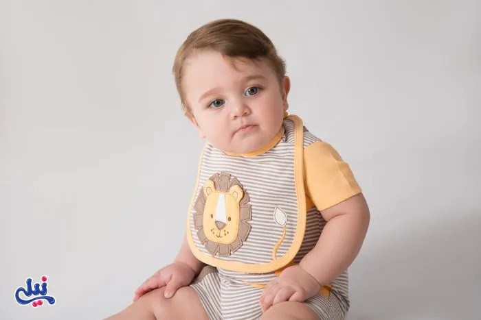 apron-design-lion-boy.webp