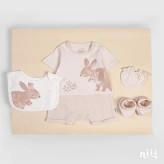 Kangaroo-and-friends_3.webp