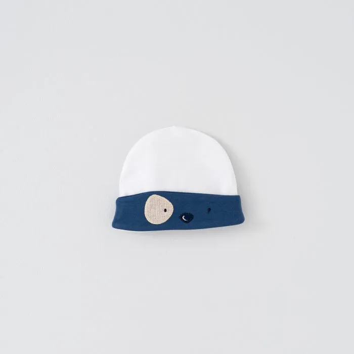 car-model-hat-keshi.webp