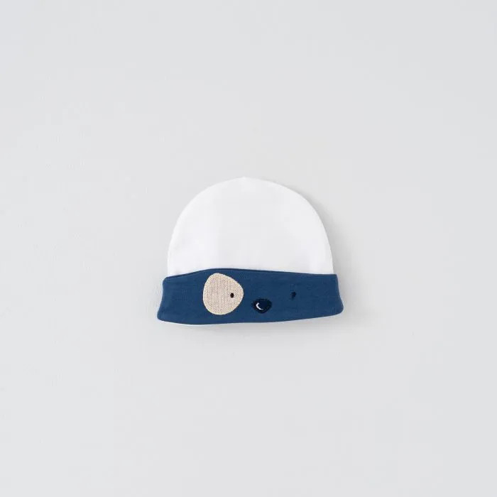 car-model-hat-keshi.webp
