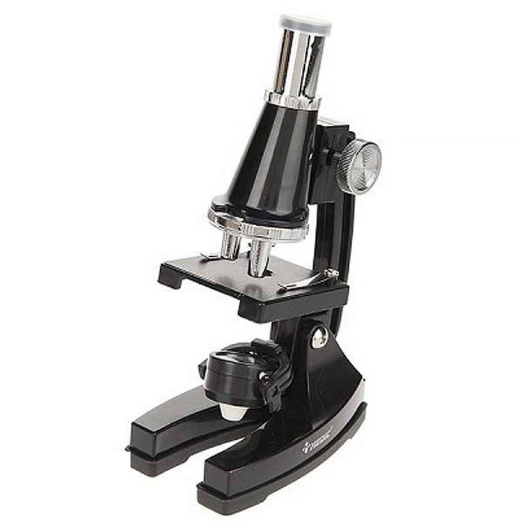 131007023_639202347667649663_microscope-2.jpg